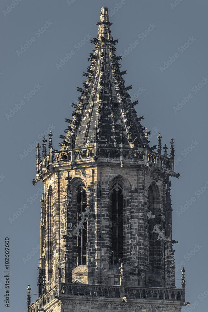 Old Cathedral and river Elba in Magdeburg, Spring time Old Cathedral and river Elba in Magdeburg, Spring time
