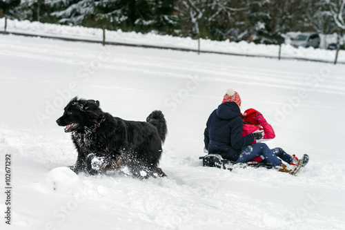 Children playing with big water-dog in snow photo