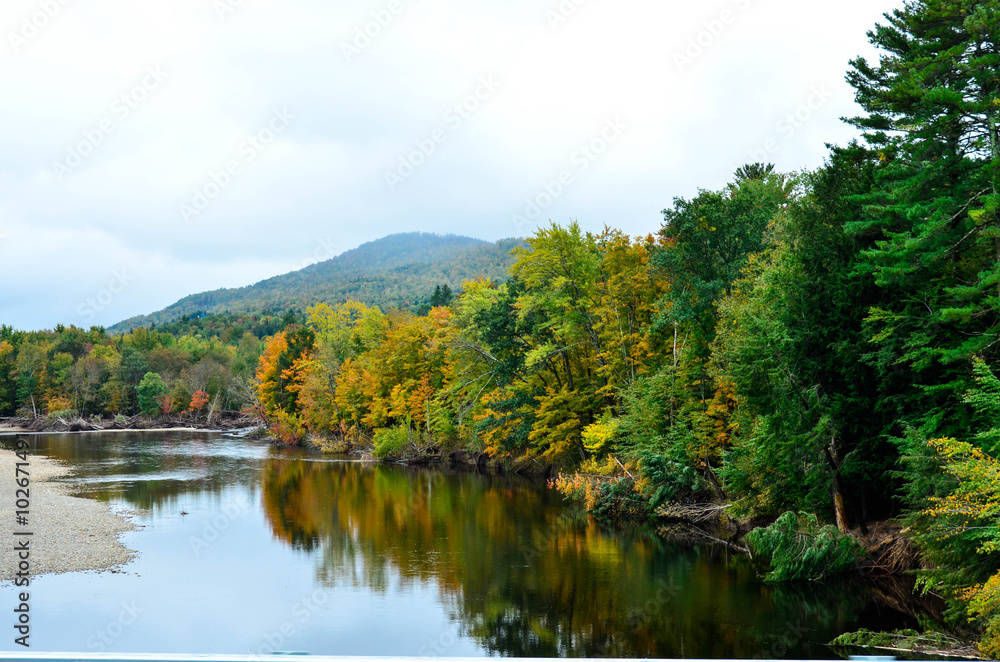 River and Trees