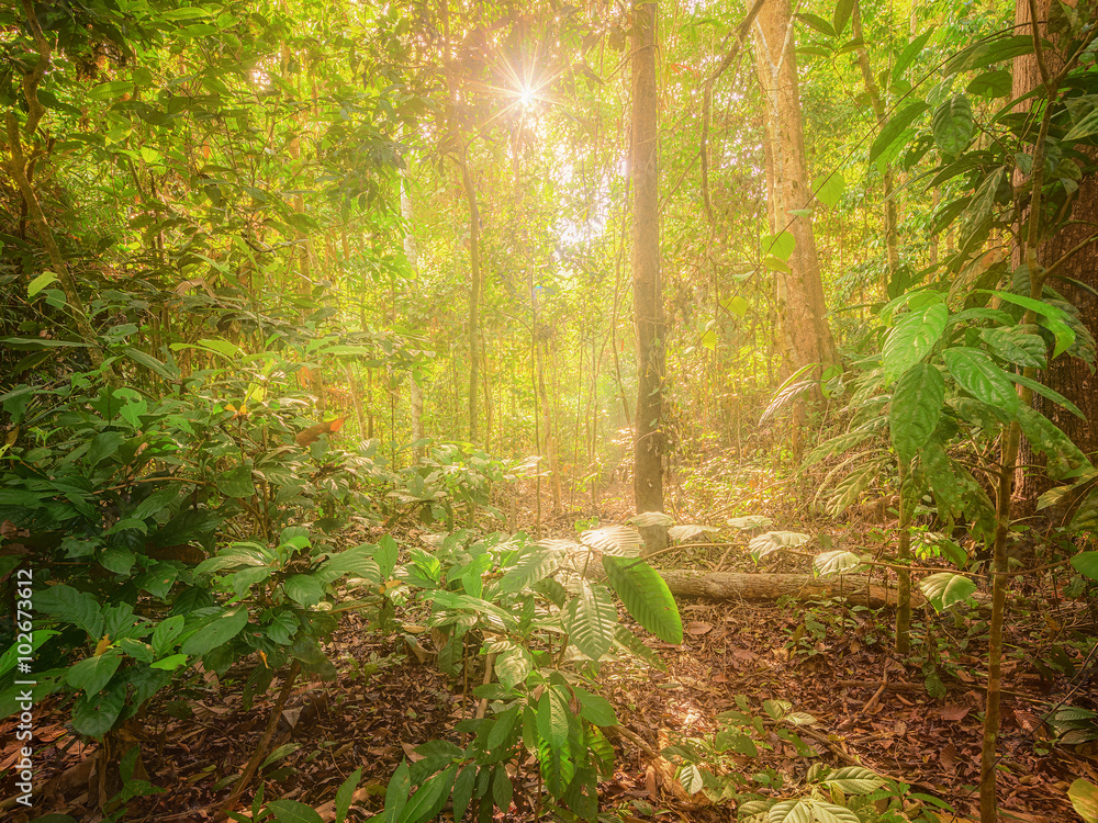 Beautiful landscape of mountain, Chiang Mai,Thailand Beautiful landscape of mountain, Chiang Mai,Thailand