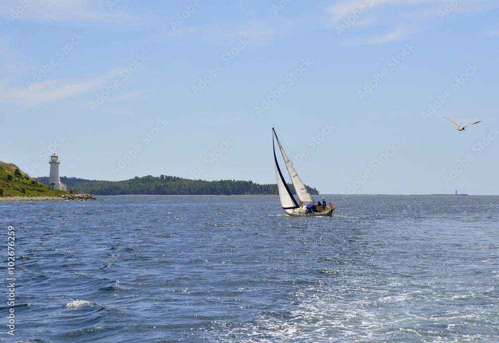 small sailboat sailing along Georges Island near the light house,
Halifax, Nova Scotia Canada
