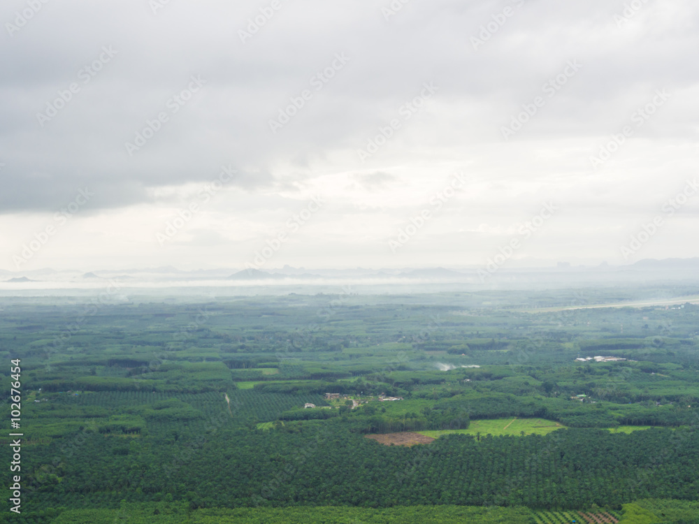 Green mountain landscape