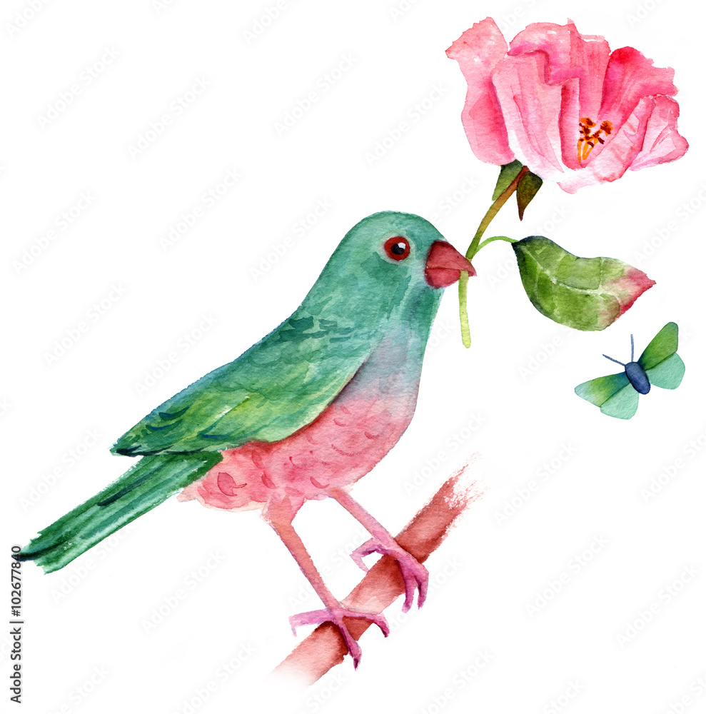 Vintage style drawing of watercolor bird with rose and butterfly