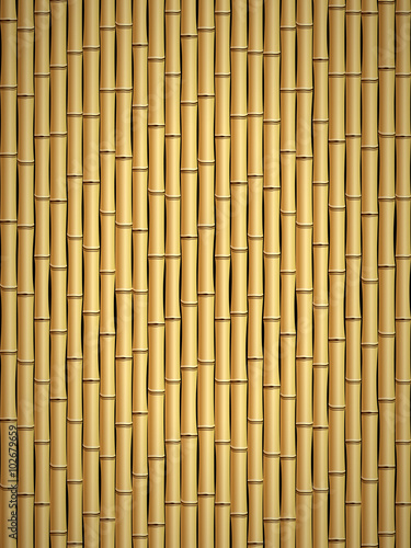 Bamboo pattern