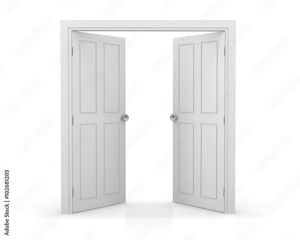 door door
