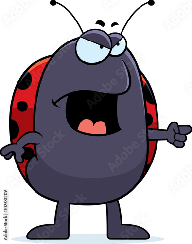 Angry Ladybug