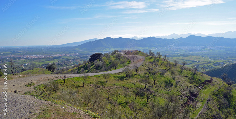 Naklejka premium Almond Trees on Hill Andalucia Spain
