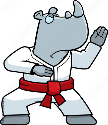 Karate Rhino