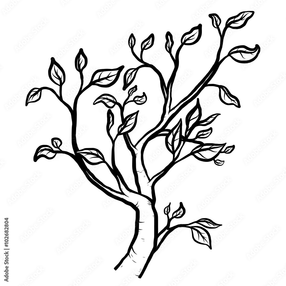 tree branch / cartoon vector and illustration, black and white, hand drawn,  sketch style, isolated on white background. Stock Vector | Adobe Stock
