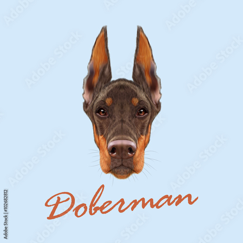 Doberman Pinscher dog