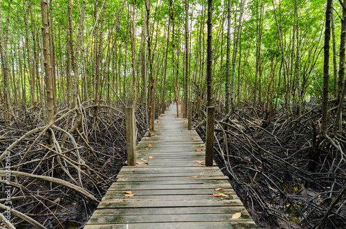 Wooden bridge and mangrove field. Boardwalk in Tung Prong Thong