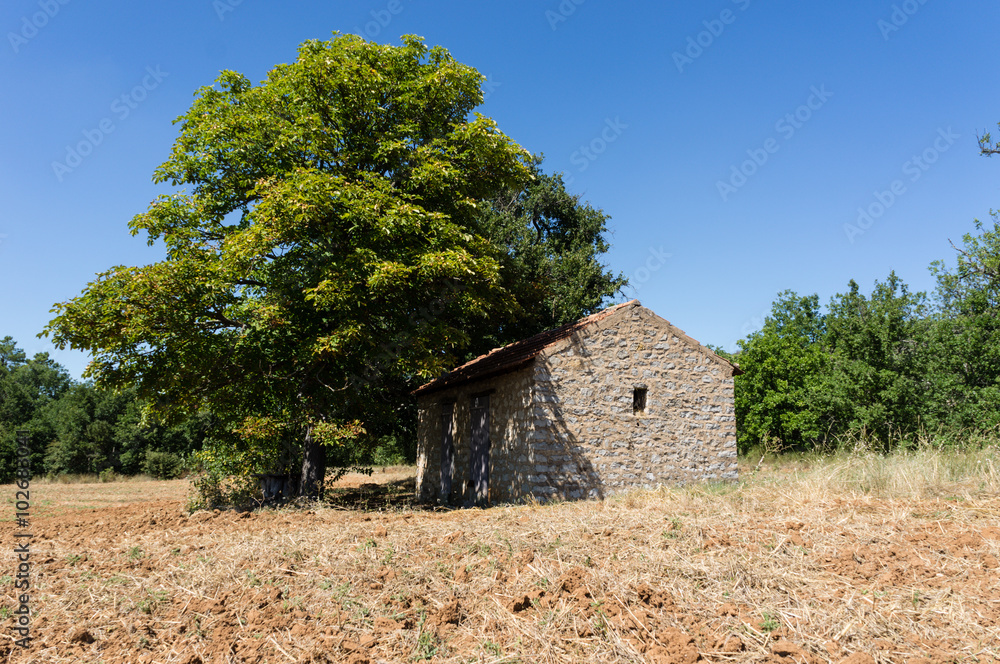 Cabin in the fields Cabin in the fields
