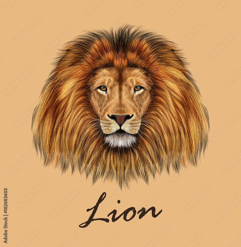 Obraz premium African Lion Portrait