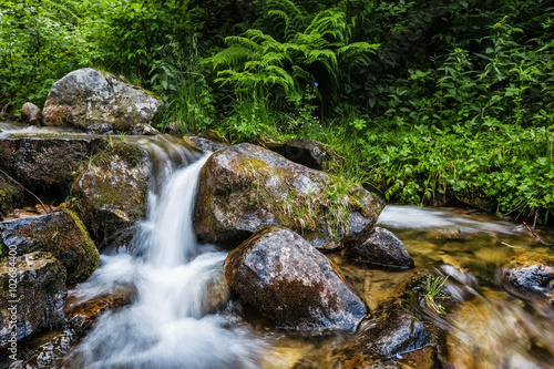 Carpathian Mountains. Mountain stream and green grass on the bank.