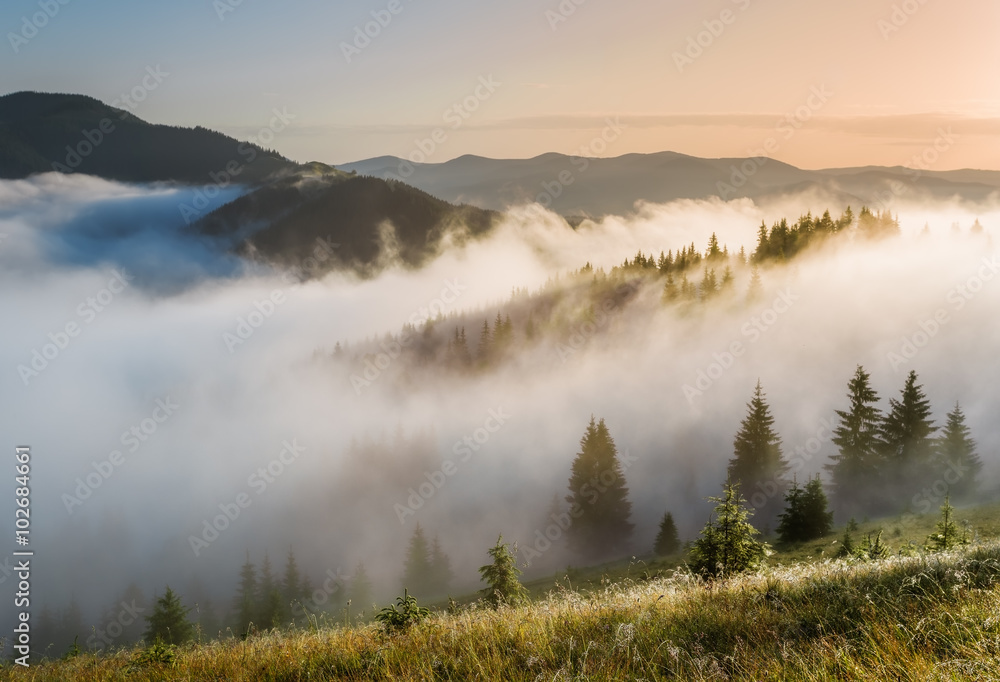 Carpathian Mountains. The slopes of the mountains in a fog.