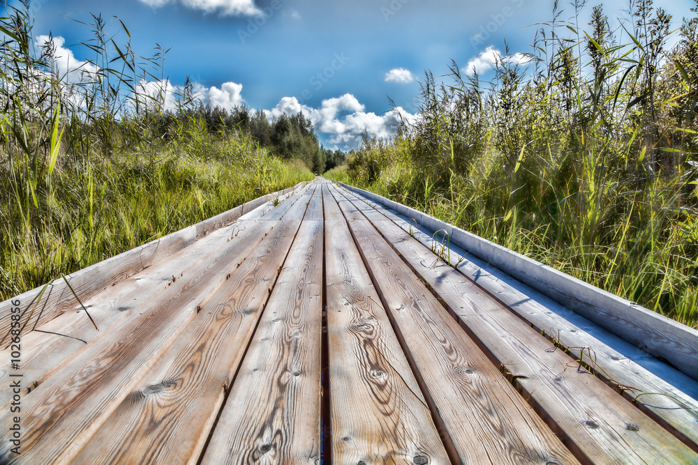 custom made wallpaper toronto digitalfootbridge 