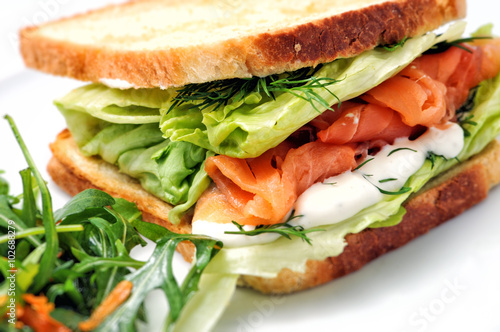 toast sandwich with salmon, vegetable and salad on white plate