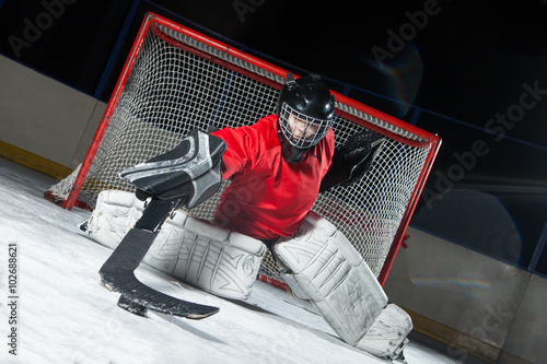 Fototapete Goalie blocking a puck with stick