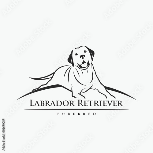 Labrador retriever sign