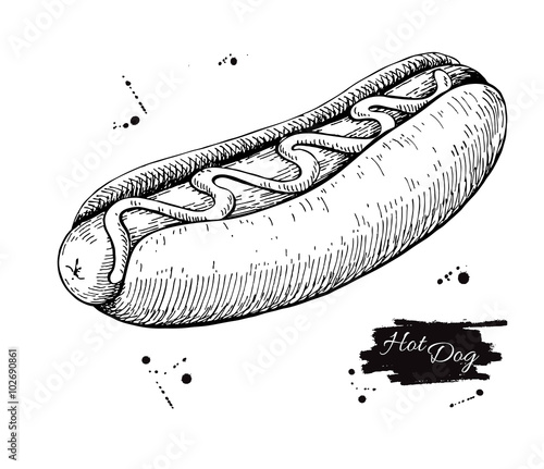 Fotografie, Obraz Vector vintage hot dog drawing. Hand drawn monochrome fast food