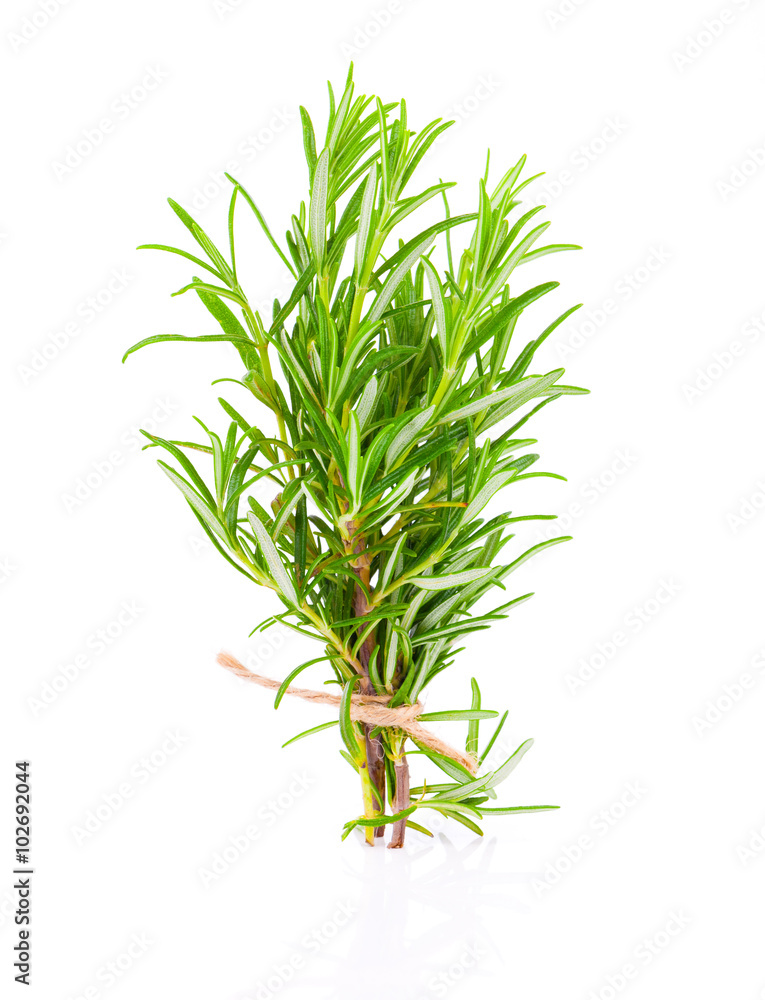 Fototapeta premium tied fresh rosemary on a white background