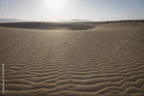 Sand patterns Natural park Corralejo Canary-islands Spain