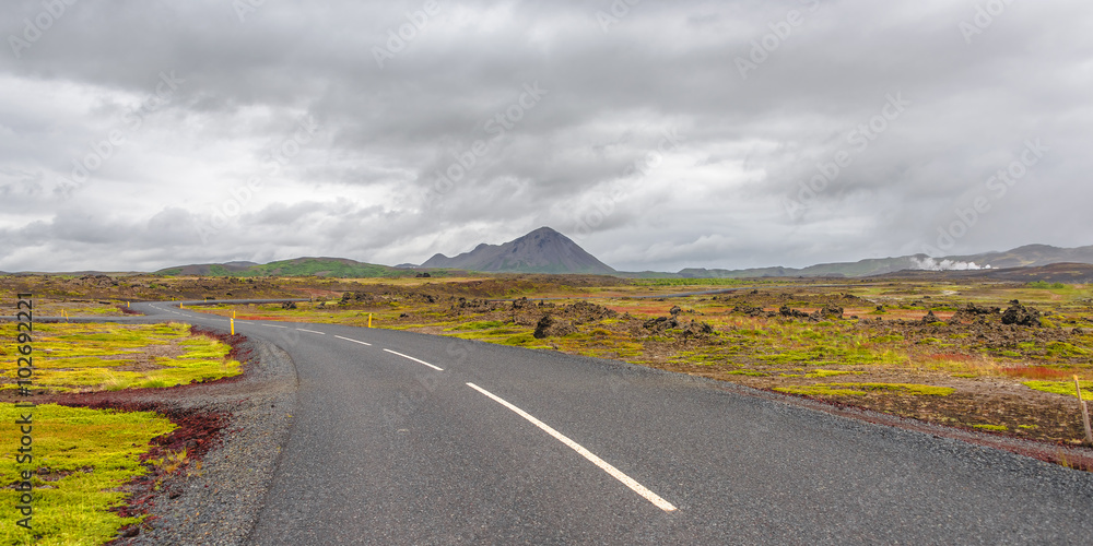 Fototapeta premium Isolated road and Icelandic colorful landscape at Iceland, summe