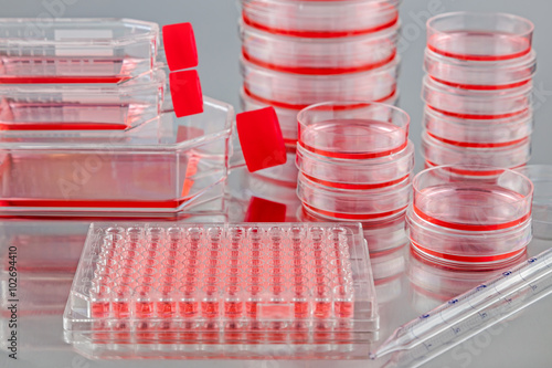 Various tissue culture flasks, plates and dishes