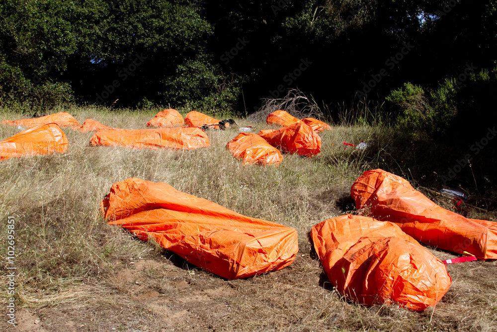 Naklejka premium Firefighters deploying emergency shelter