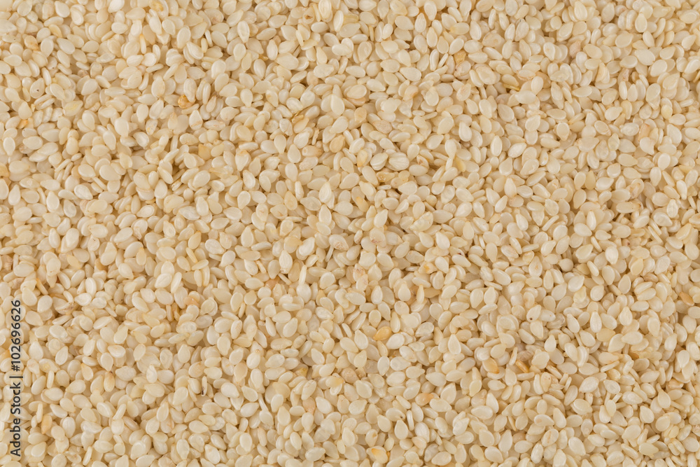 Closeup of lots of sesame seeds Closeup of lots of sesame seeds