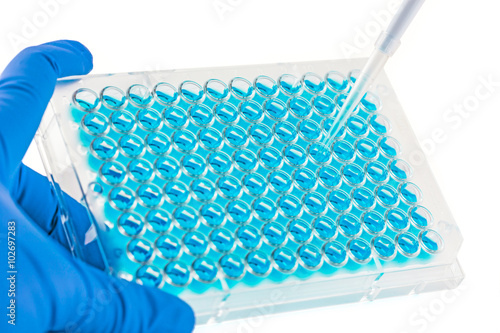 Adding Or Removing Samples From A 96 Well Plate With A Pipette Stock 写真 Adobe Stock
