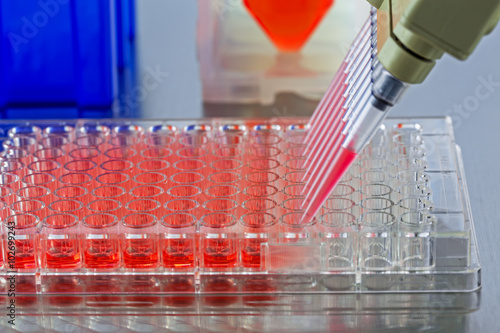 Setting up samples in a plate inside a biosafety cabinet photo