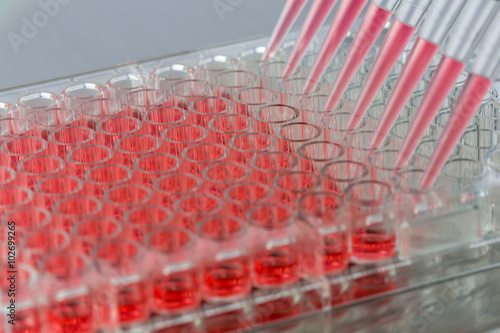 Adding samples inside a biosafety cabinet