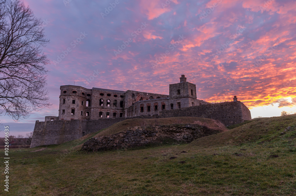 Obraz premium Ruins of baroque castle Krzyztopor in Ujazd, Poland during colorful sunrise