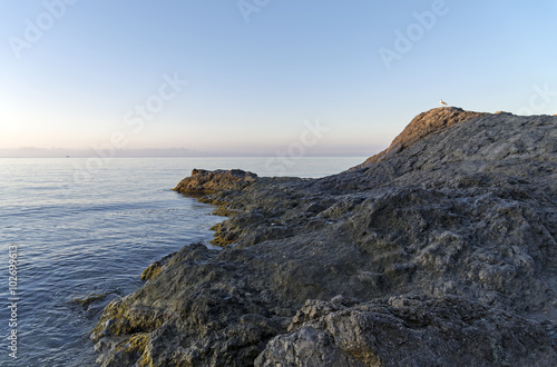 Early morning on the seashore.