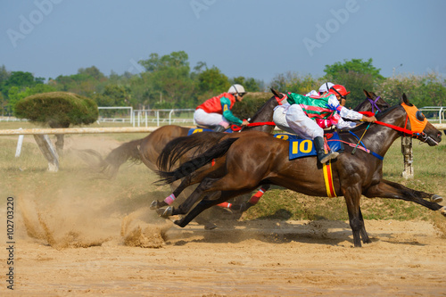 racing horses starting a race