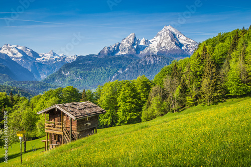 Obraz na płótnie Mountain scenery in the Alps with traditional mountain lodge in springtime w salonie