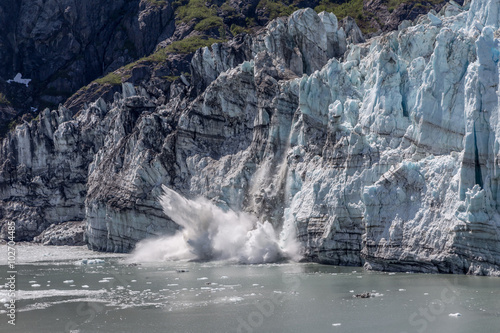 Calving of a glacier at glacier bay national park and reserve.