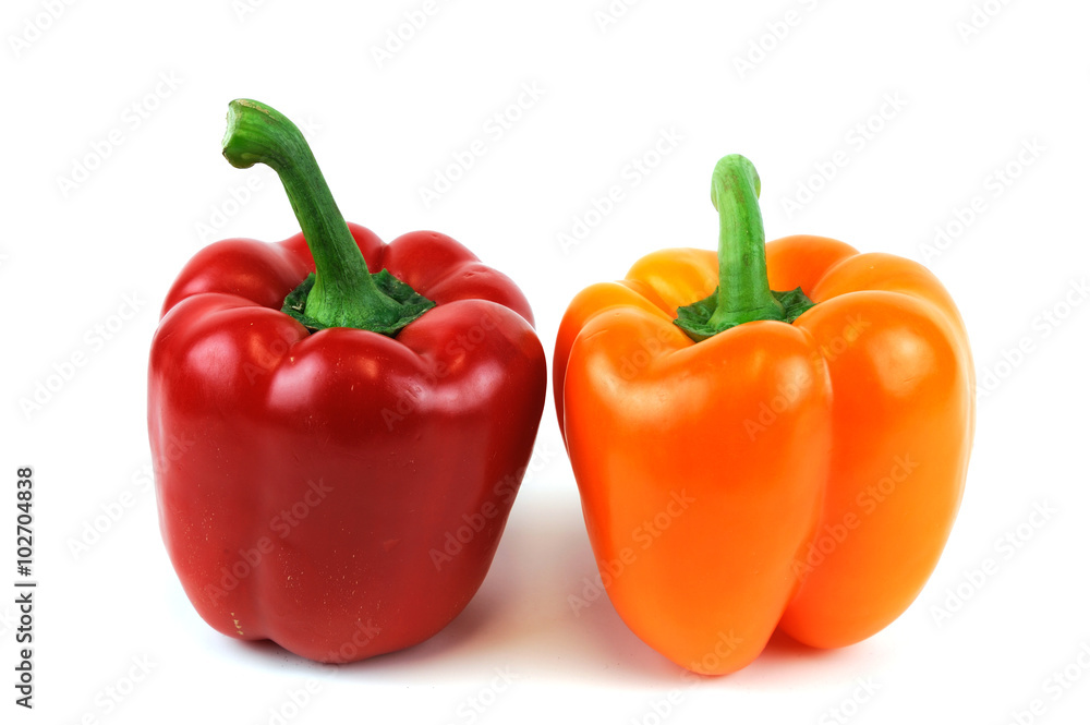 colorful peppers isolated on white background colorful peppers isolated on white background