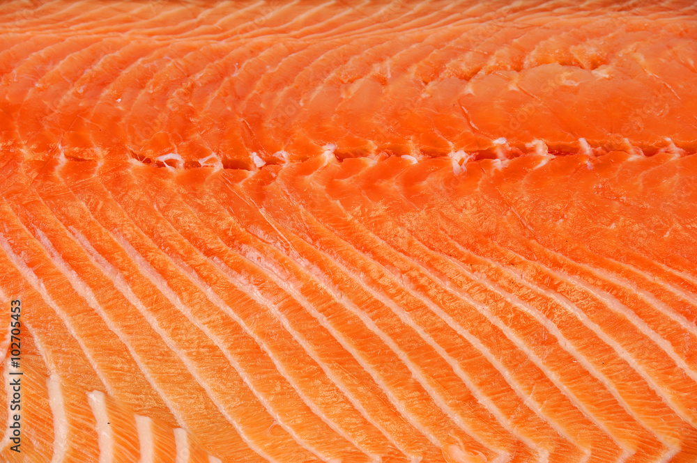 close up on fresh salmon fillet background close up on fresh salmon fillet background