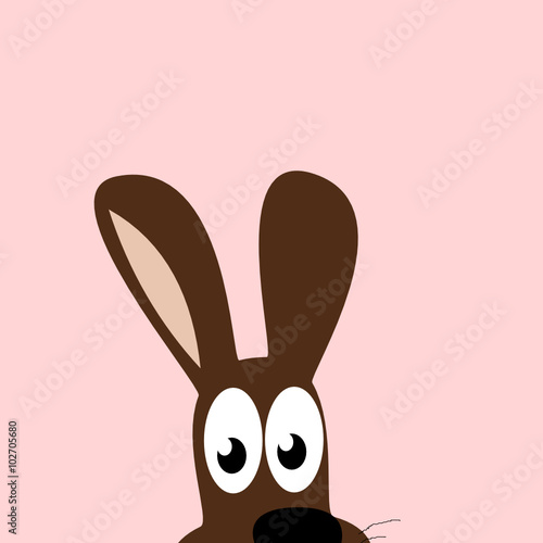 Hase
