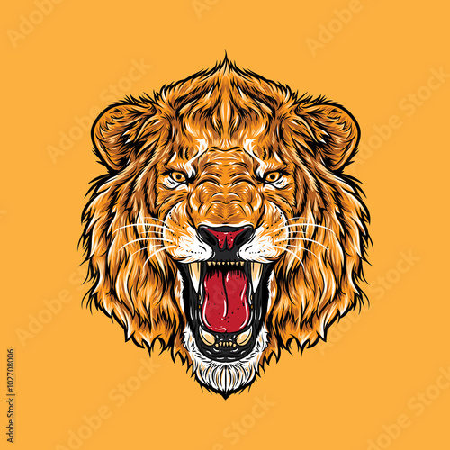 Fototapeta Naklejka Na Ścianę i Meble -  Angry Lion Face. A lion head showing angry expression. 