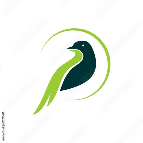 Pigeon logo