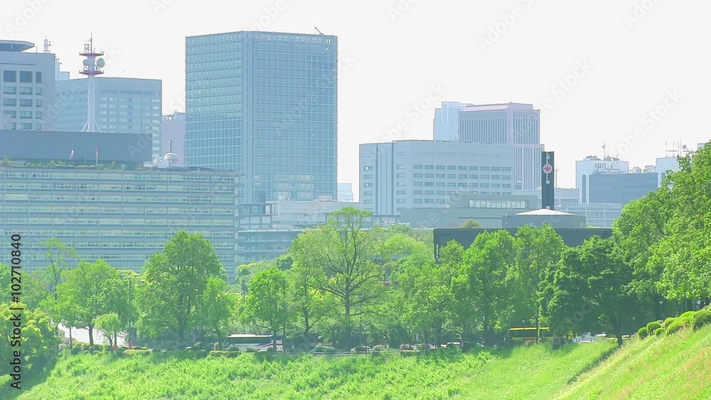皇居、桜田壕付近の新緑 皇居、桜田壕付近の新緑