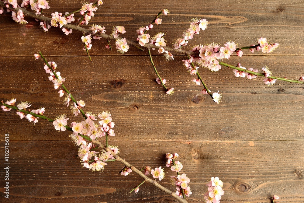 淡い桃色の梅の花木材背景stock Photo Adobe Stock 淡い桃色の梅の花木材背景stock Photo Adobe Stock