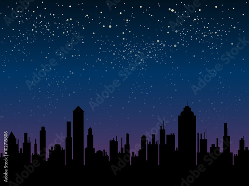 Vector silhouette of the city. Star sky. Eps 10.