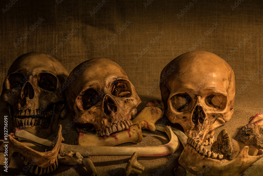 still life with skulls and bones still life with skulls and bones