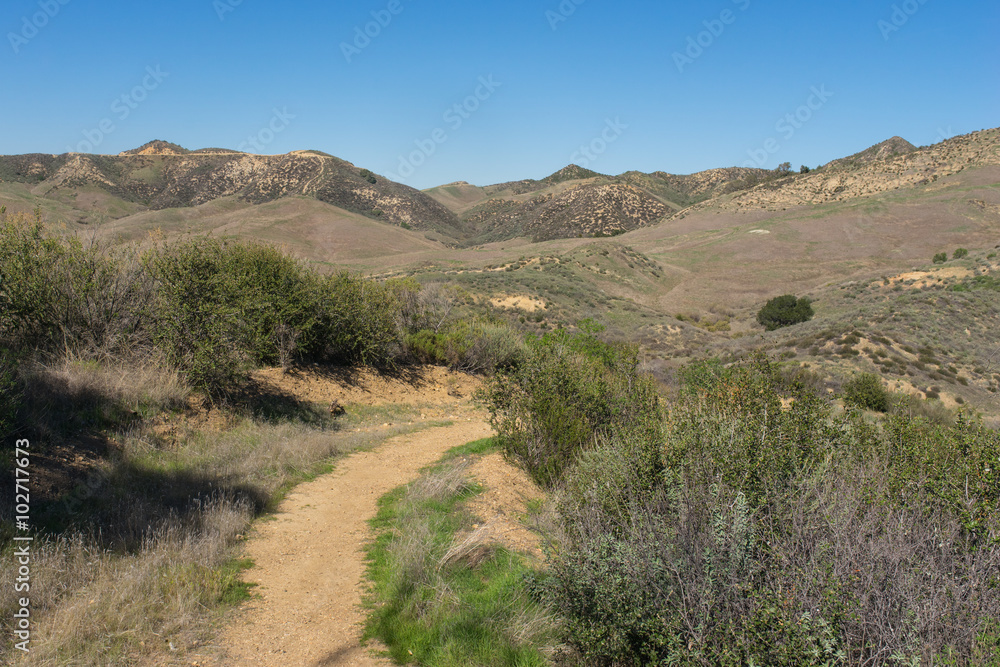 Hiking Path California Nature Area