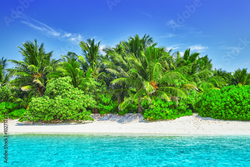 Shoreline of a tropical island in the Maldives and view of the I © BRIAN_KINNEY