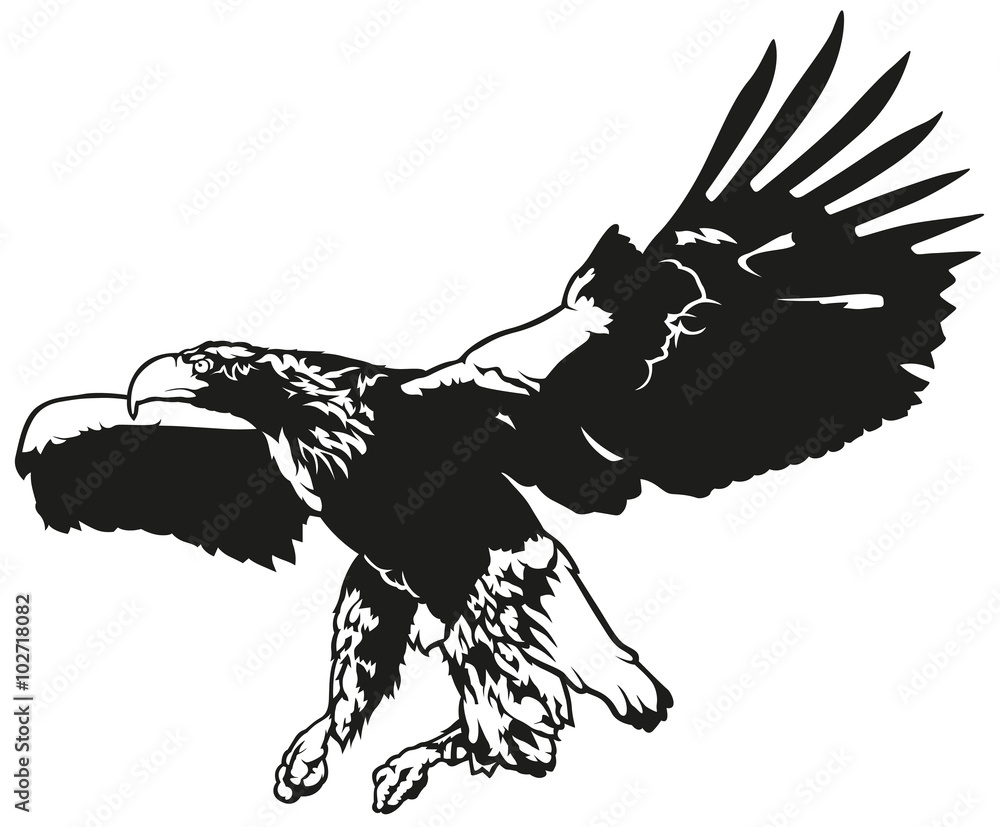 Flying Eagle Outline